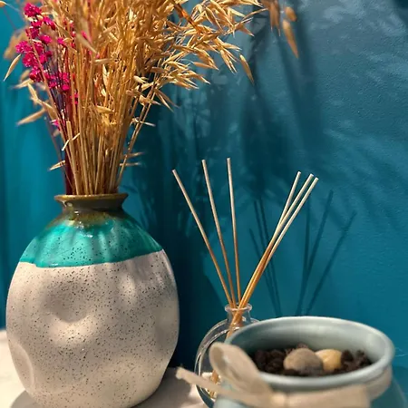 Contemporary Charm In Old Apartamento Sófia