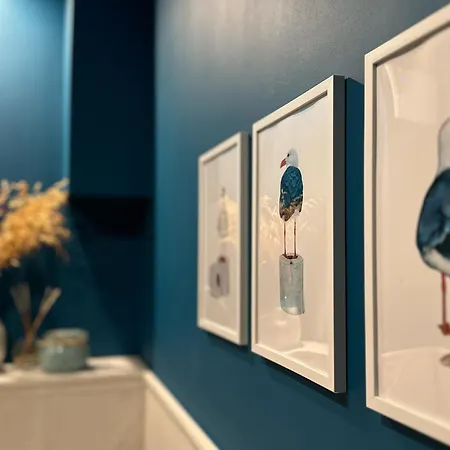 Contemporary Charm In Old