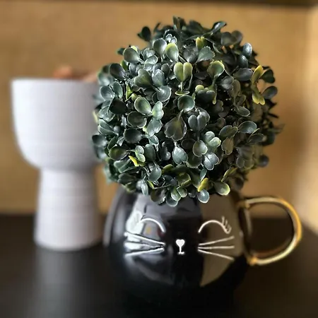 Contemporary Charm In Old Σόφια