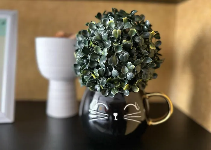 Contemporary Charm In Old Sofia