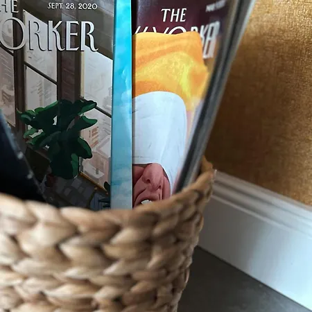 Contemporary Charm In Old Sofya